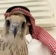 صورة العميل رائد بن منصور